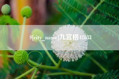 果洛九宫格42633