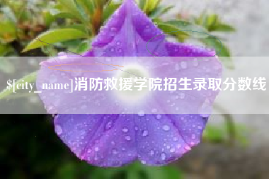 果洛消防救援学院招生录取分数线