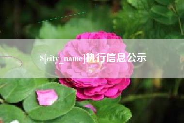 果洛执行信息公示