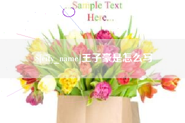 果洛王子豪是怎么写