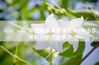 果洛中国消防救援学院2021年山东录取分数线是多少