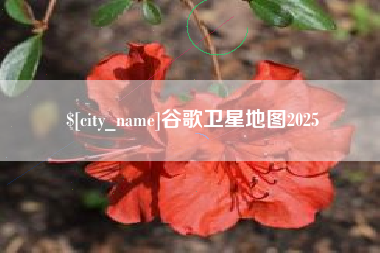 果洛谷歌卫星地图2025