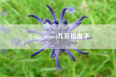 果洛九宫格盘子