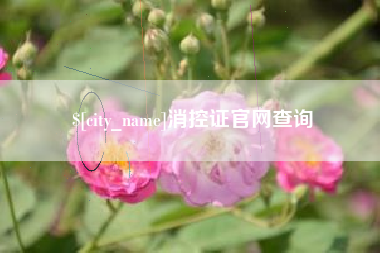 果洛消控证官网查询