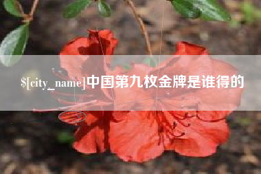 果洛中国第九枚金牌是谁得的