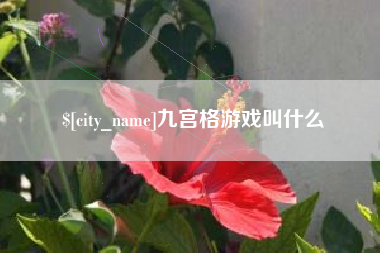果洛九宫格游戏叫什么