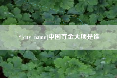 果洛中国夺金大项是谁