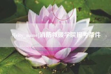 果洛消防救援学院报考条件