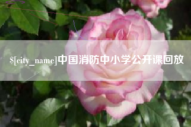 果洛中国消防中小学公开课回放