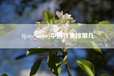 果洛中国夺金排第几