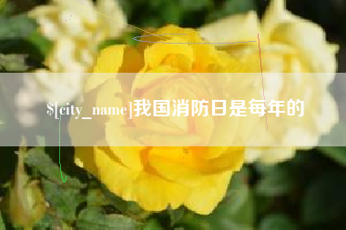 果洛我国消防日是每年的