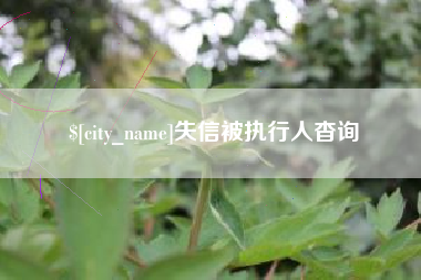 果洛失信被执行人杳询