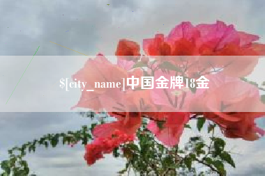 果洛中国金牌18金