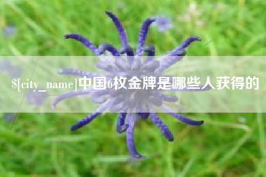 果洛中国6枚金牌是哪些人获得的