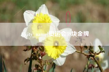 果洛奥运会39块金牌