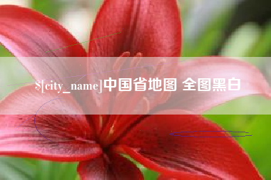 果洛中国省地图 全图黑白