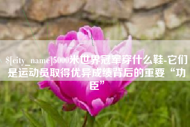 果洛5000米世界冠军穿什么鞋-它们是运动员取得优异成绩背后的重要“功臣”