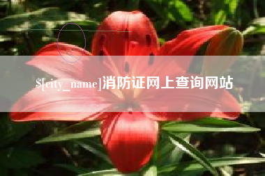 果洛消防证网上查询网站