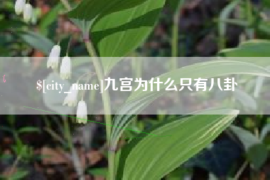 果洛九宫为什么只有八卦