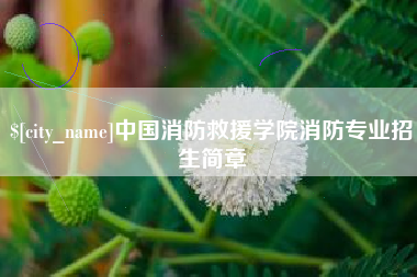 果洛中国消防救援学院消防专业招生简章