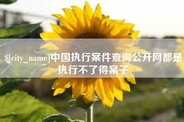 果洛中国执行案件查询公开网都是执行不了得案子