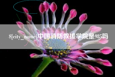 果洛中国消防救援学院是985吗