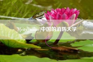 果洛中国的消防大学