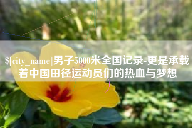 果洛男子5000米全国记录-更是承载着中国田径运动员们的热血与梦想