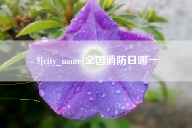 果洛全国消防日哪一