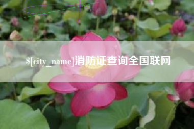果洛消防证查询全国联网