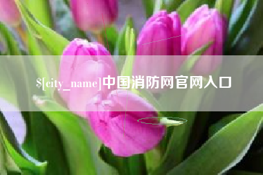 果洛中国消防网官网入口