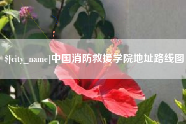 果洛中国消防救援学院地址路线图