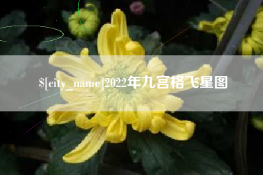 果洛2022年九宫格飞星图