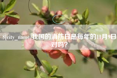 果洛我国的消防日是每年的11月9日对吗？