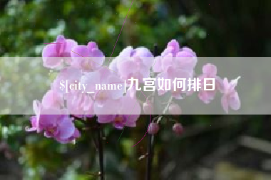 果洛九宫如何排日