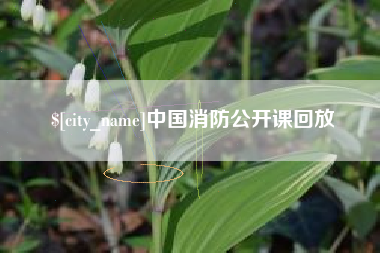 果洛中国消防公开课回放