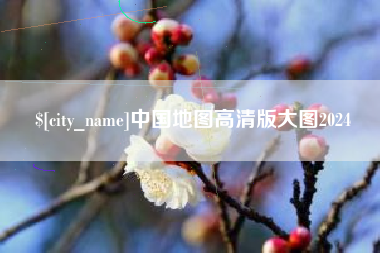 果洛中国地图高清版大图2024