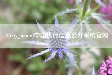 果洛中国执行信息公开系统官网