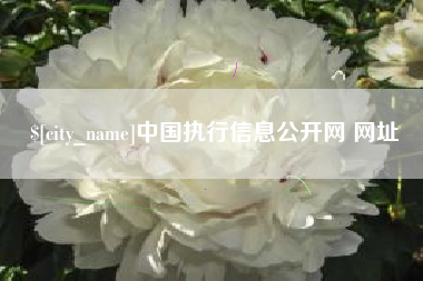 果洛中国执行信息公开网 网址