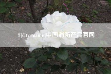 果洛中国消防产品官网