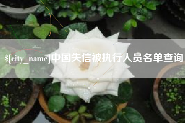 果洛中国失信被执行人员名单查询