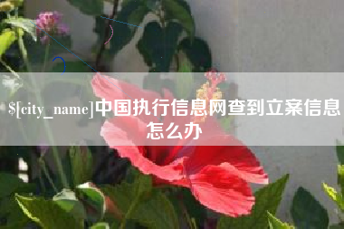 果洛中国执行信息网查到立案信息怎么办