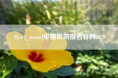 果洛中国消防报名官网2020