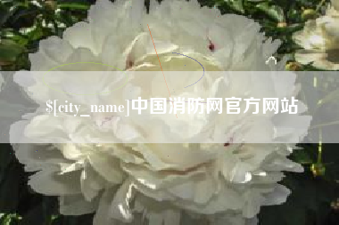 果洛中国消防网官方网站