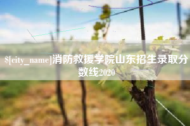 果洛消防救援学院山东招生录取分数线2020