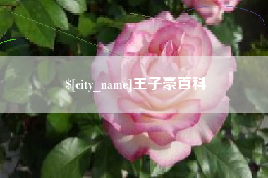 果洛王子豪百科