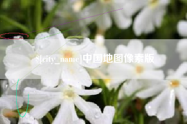 果洛中国地图像素版