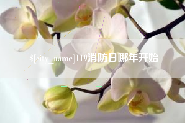 果洛119消防日哪年开始