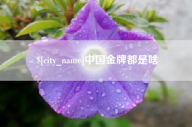 果洛中国金牌都是啥
