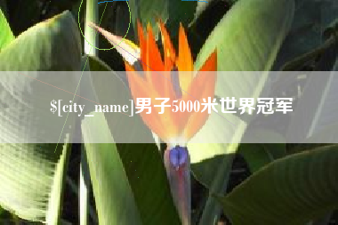 果洛男子5000米世界冠军